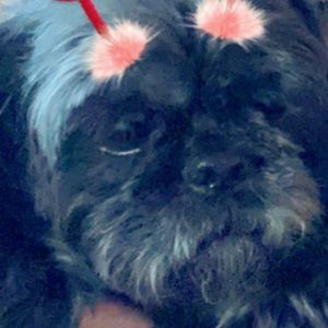 Meet your Posher, Tania